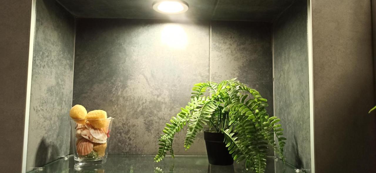 Apartman 29 Lägenhet Belgrad Exteriör bild