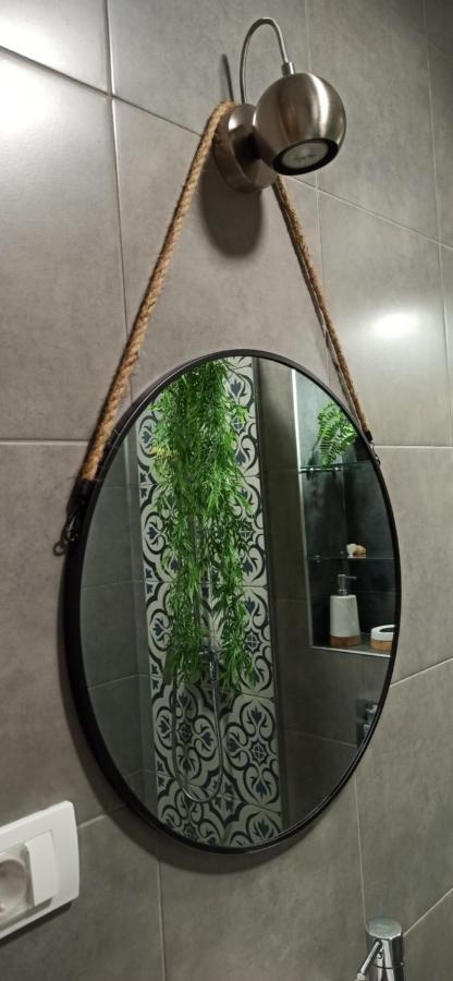Apartman 29 Lägenhet Belgrad Exteriör bild